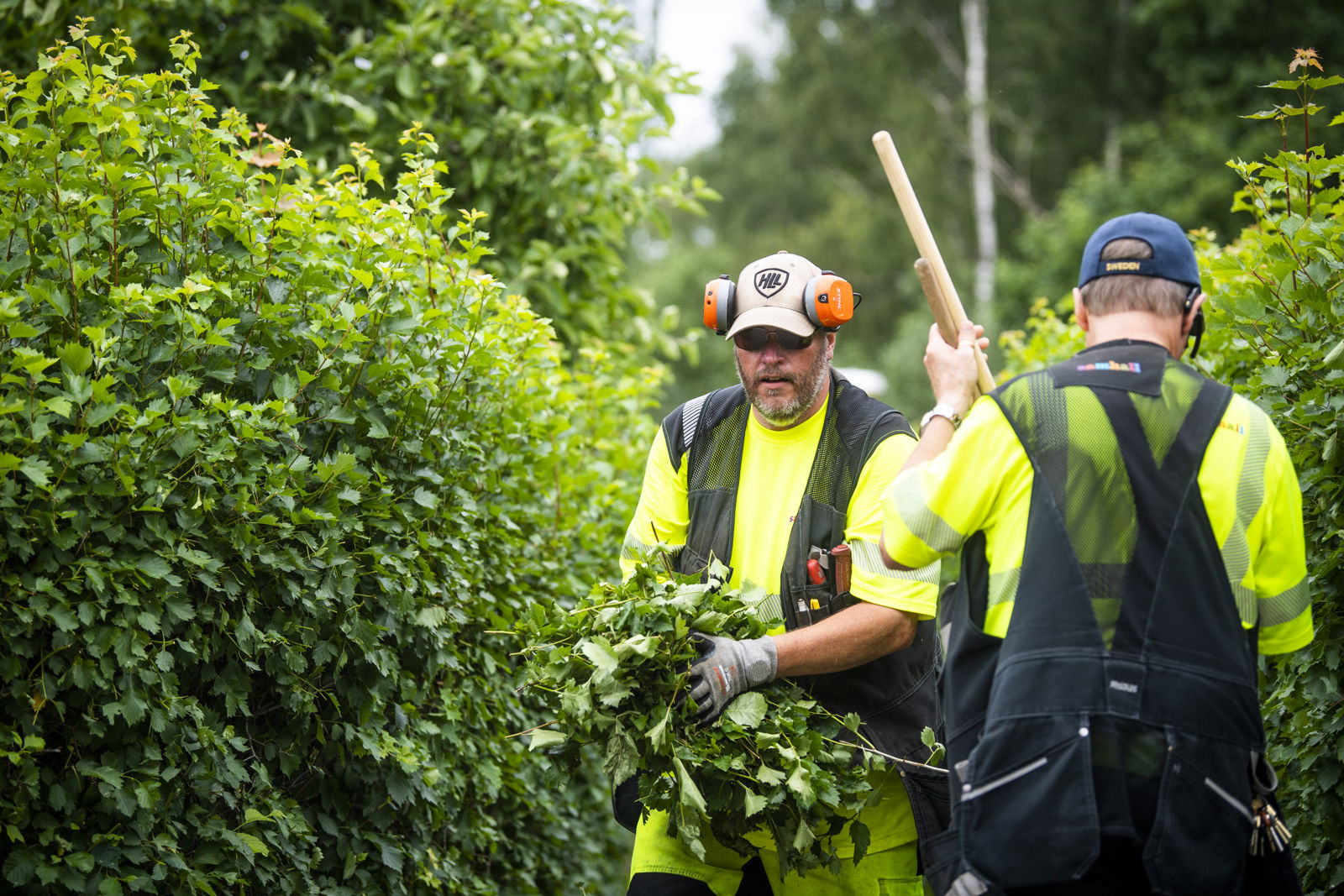 Några samhallsanställda som står bredvid i en skog.