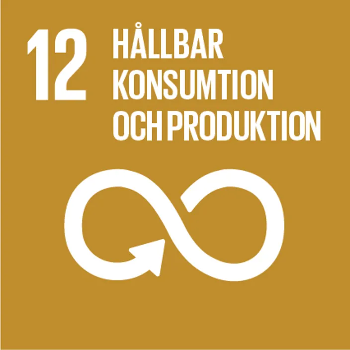 Mål 12 - Hållbar konsumtion och produktion.