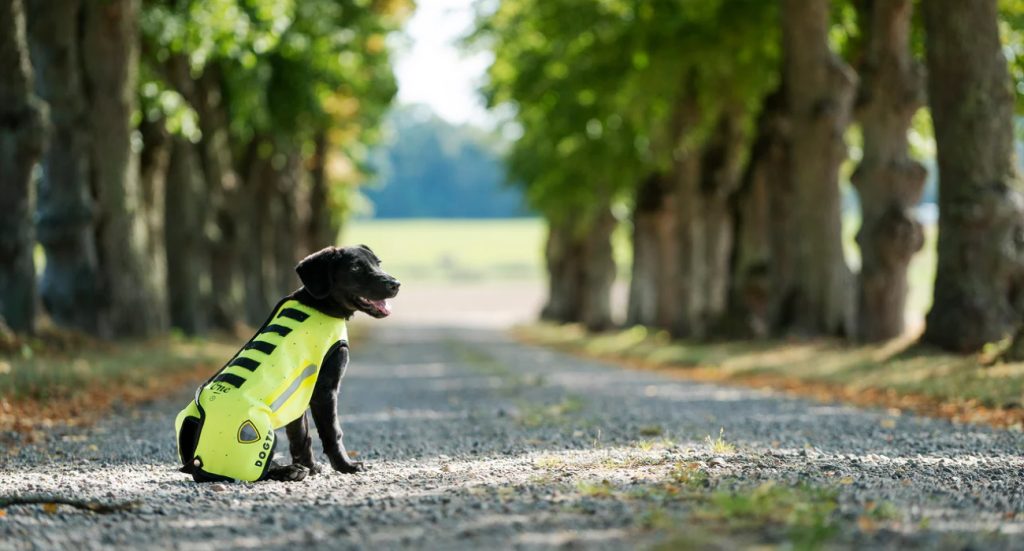 Samhallsmedarbetare tränar en svart hund som sitter på en grusväg mellan två rader av träd och bär en gul skyddsväst.