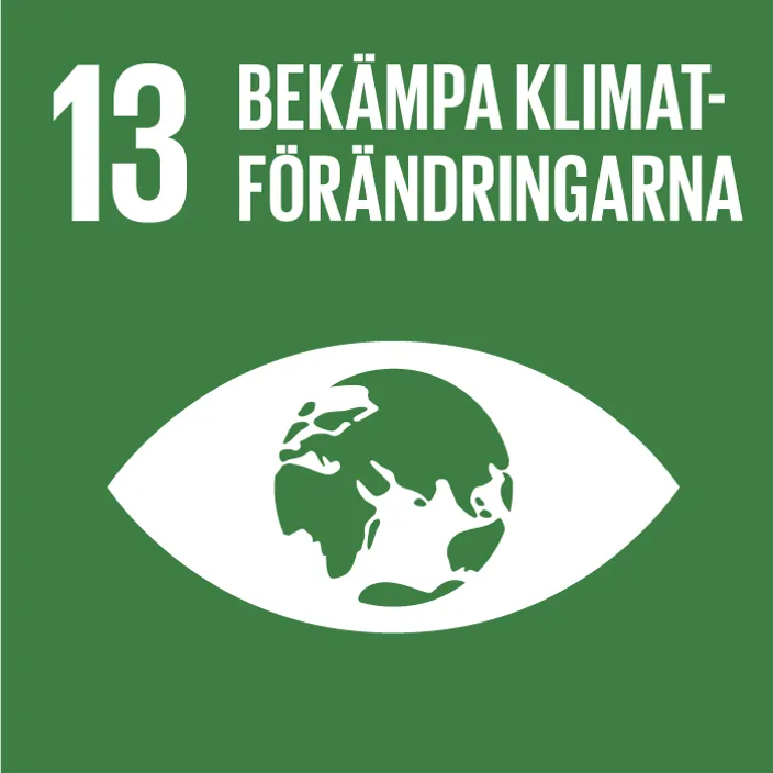13-bekampa-klimatforandringarna.jpeg